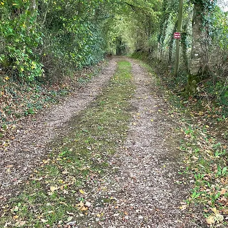 Retraite Paisible Avec Cheminee, Etang Prive Et Pres Du Mans - Fr-1-410-382 Σπίτι διακοπών Dehault