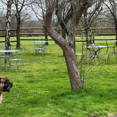 Σπίτι διακοπών Retraite Paisible Avec Cheminee, Etang Prive Et Pres Du Mans - Fr-1-410-382 *