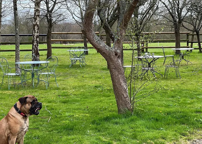 Дом отдыха Retraite Paisible Avec Cheminee, Etang Prive Et Pres Du Mans - Fr-1-410-382 *